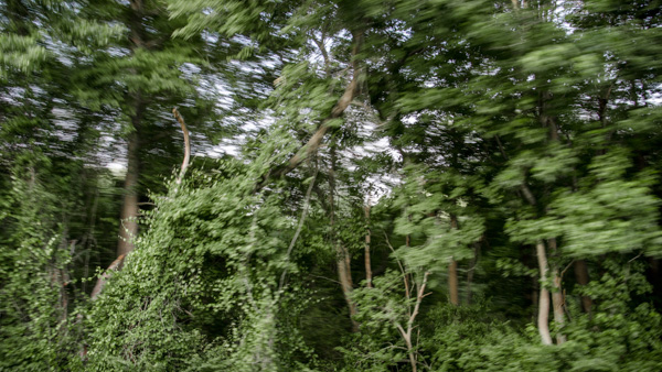 Rebecca Morrison Boston Photography - Followscapes